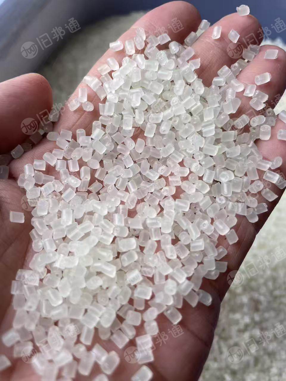 长期大量求购热洗PP餐盒颗粒,白色透明,要求过100-120目,冲击5,溶脂40.