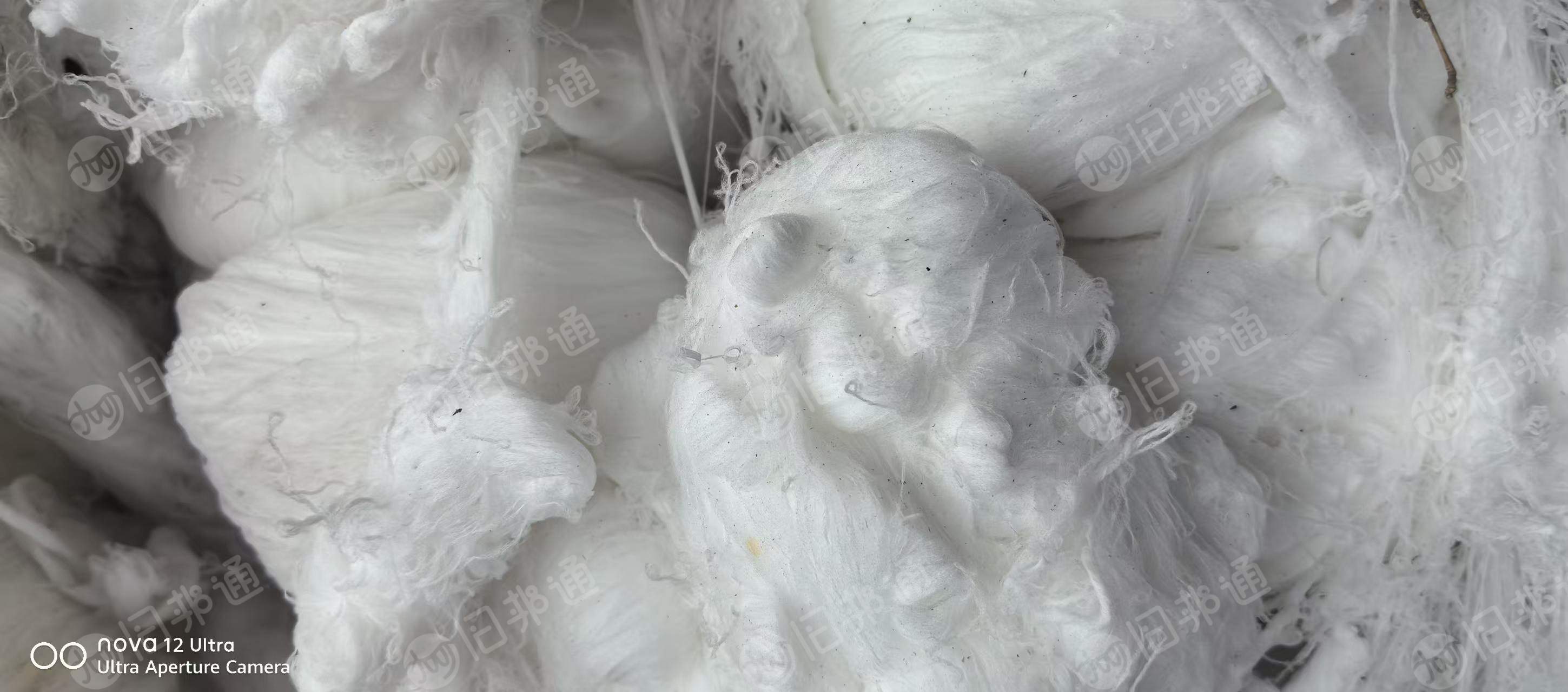 长期出售织风电布厂出来的白色涤纶弹丝，涤纶废丝，涤纶干丝，现货四五吨，货在重庆