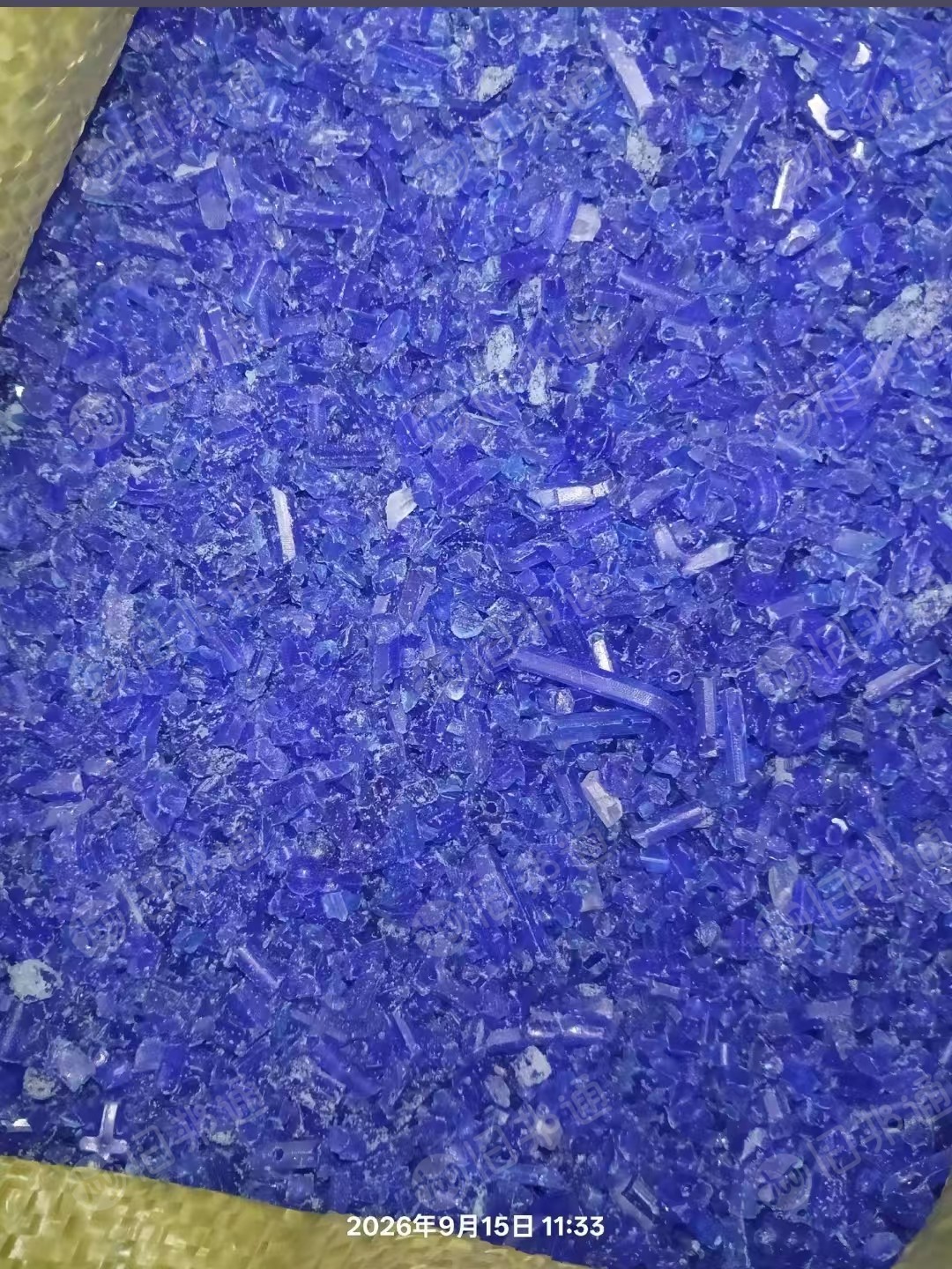 长期出售GPPS蓝透破碎料，水粉的