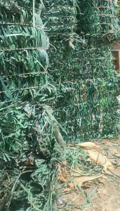 出售PET打包带废料，现货十多吨