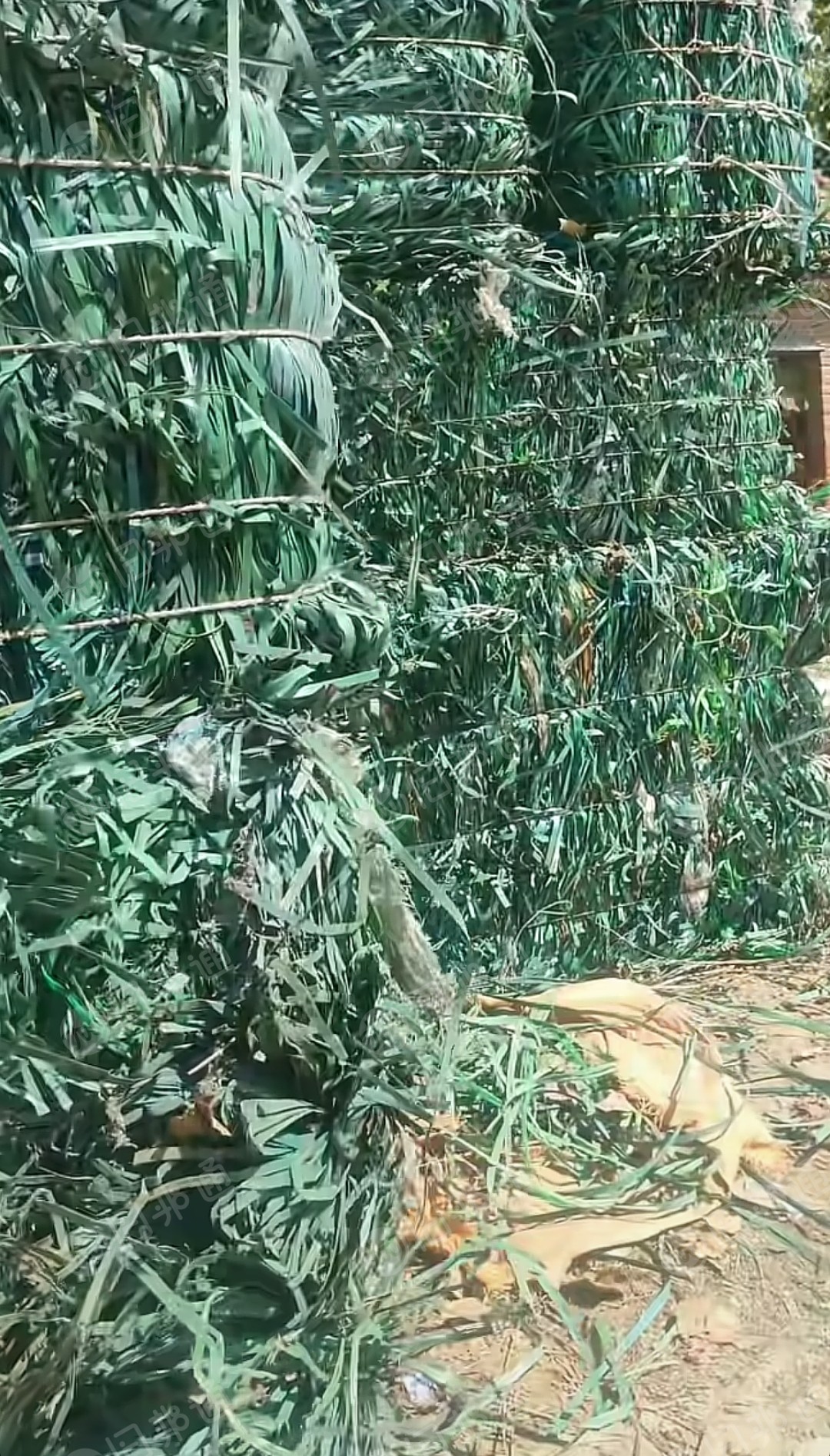 出售PET打包带废料，现货十多吨