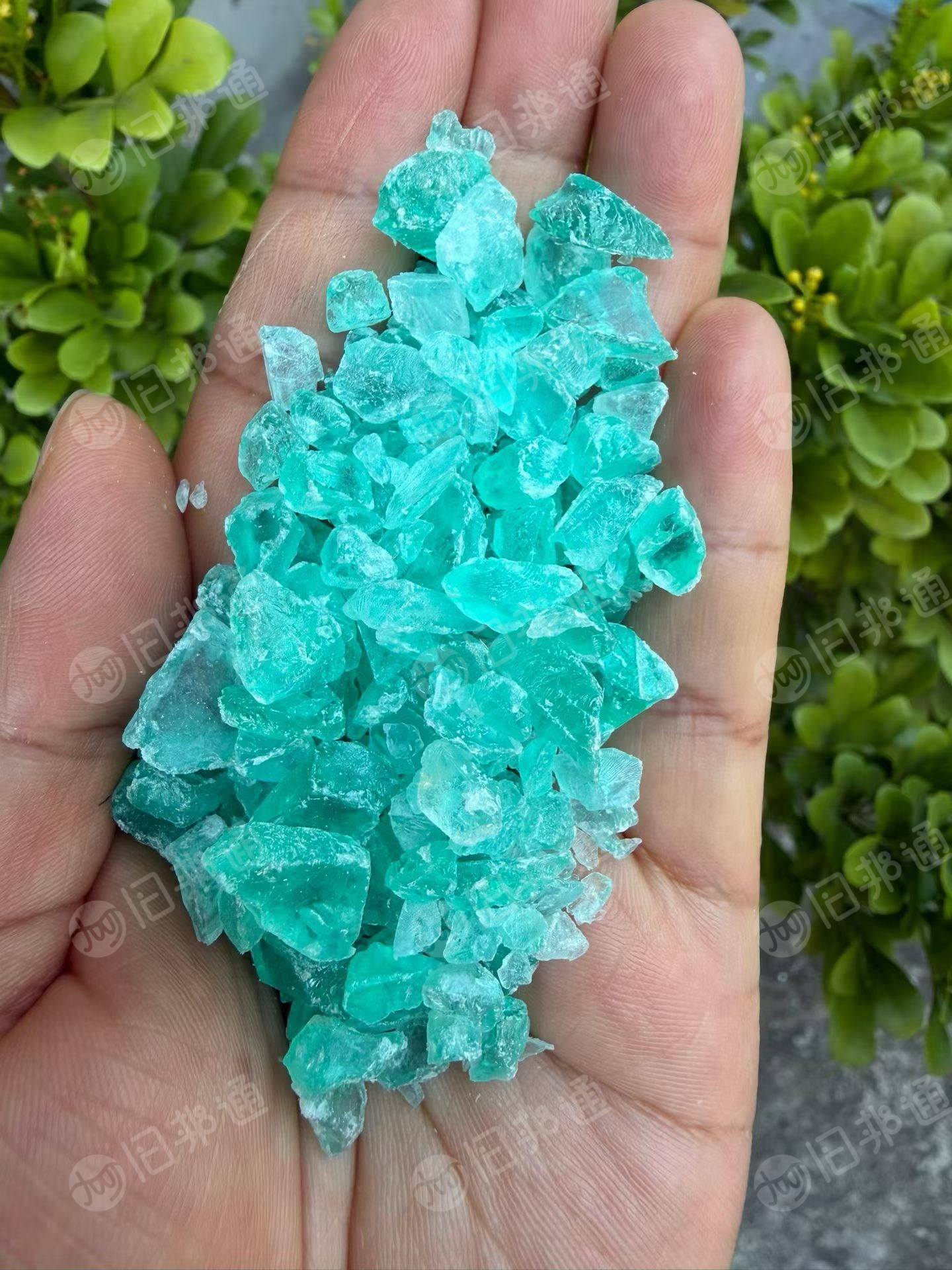 长期出售彩色透苯破碎料,彩苯破碎料,在浙江金华义乌