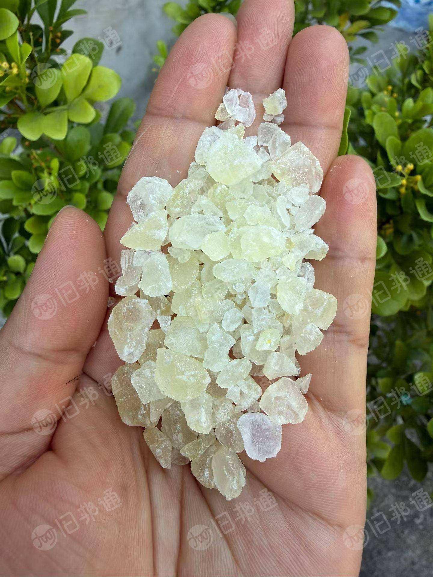 长期出售彩色透苯破碎料,彩苯破碎料,在浙江金华义乌