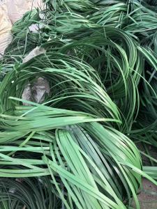 出售PET打包带废料，散货，现货8-10吨