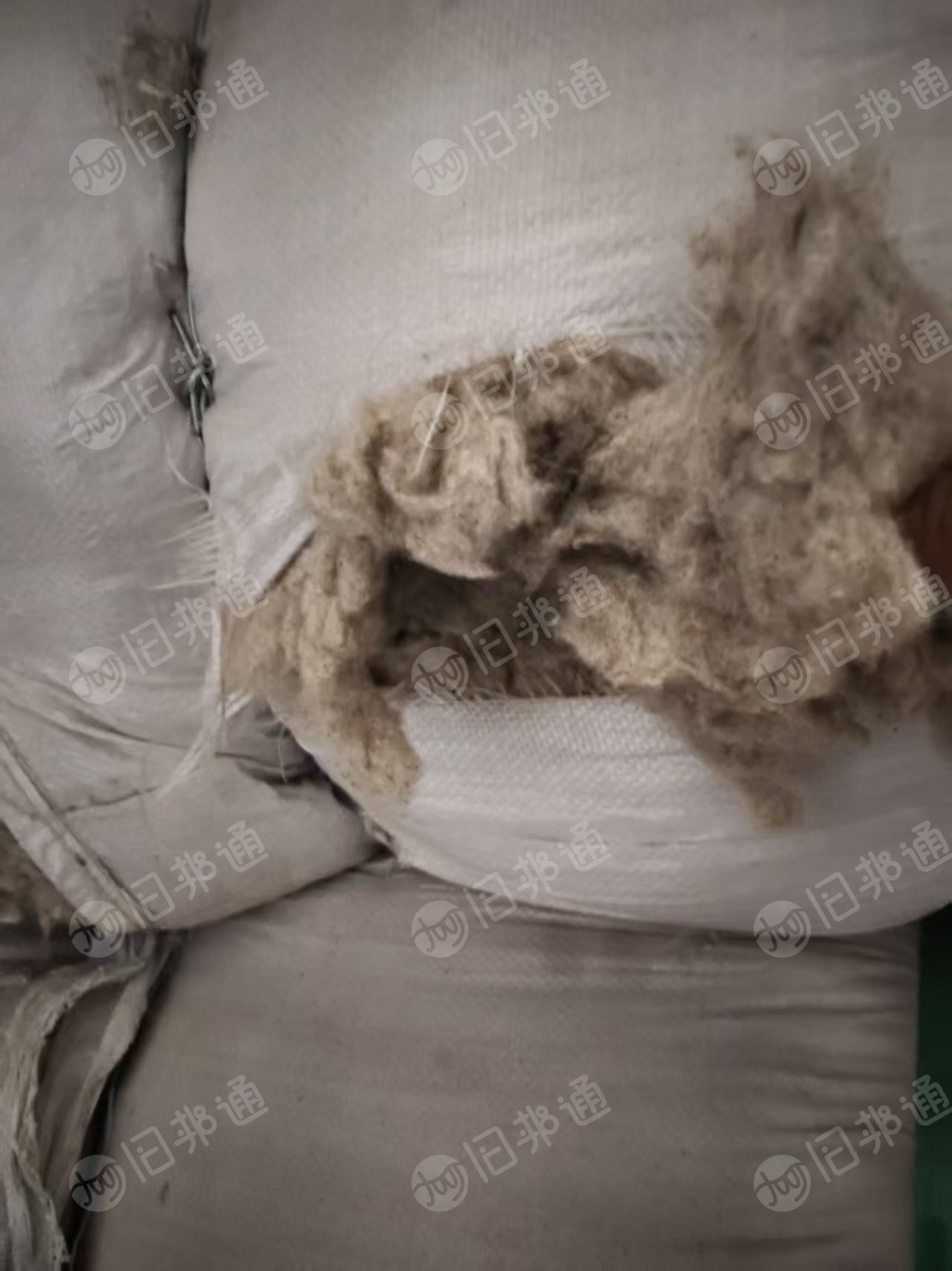 长期出售气流纺下来的纯棉鱼籽棉，纺纱下脚料，现货有8吨，货在山东滨州
