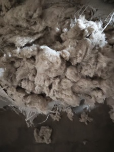 长期出售气流纺下来的纯棉鱼籽棉，纺纱下脚料，现货有8吨，货在山东滨州