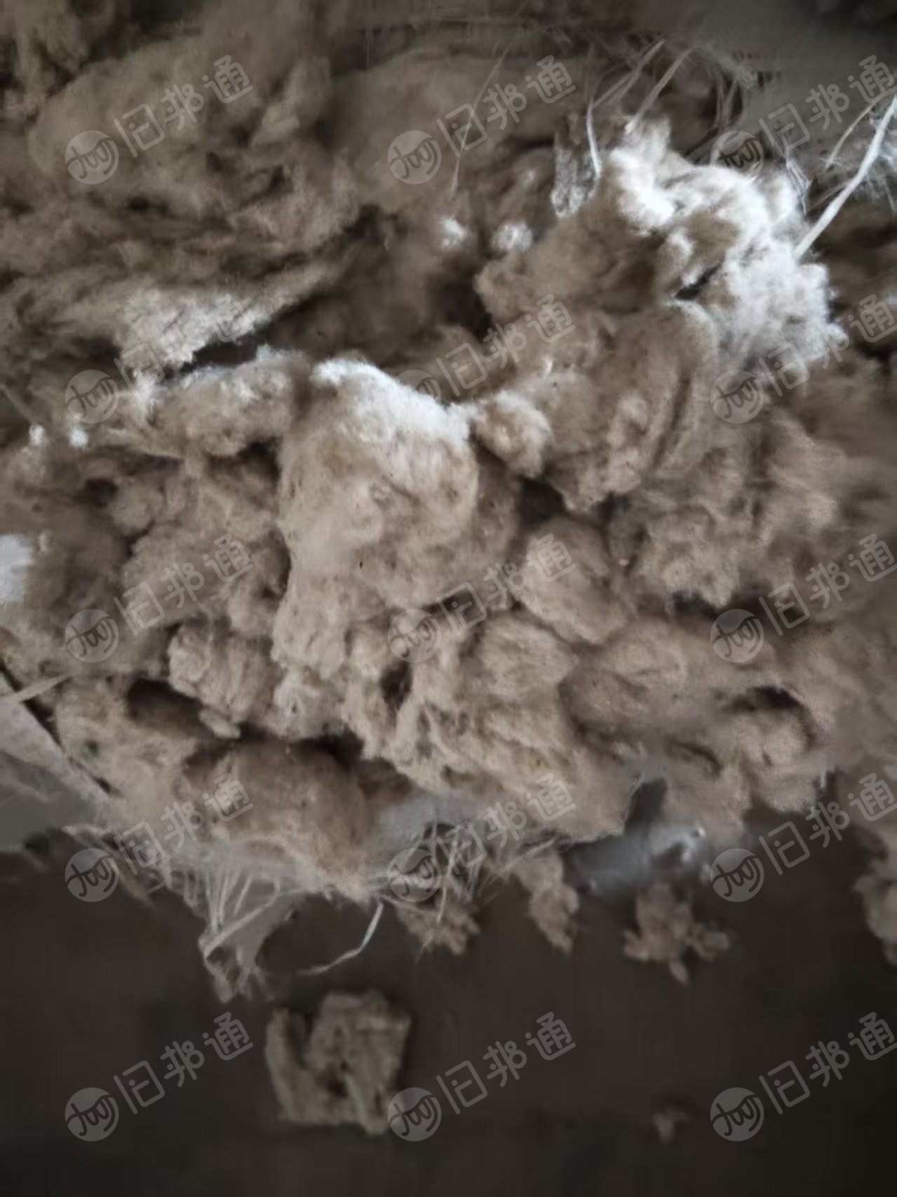 长期出售气流纺下来的纯棉鱼籽棉，纺纱下脚料，现货有8吨，货在山东滨州