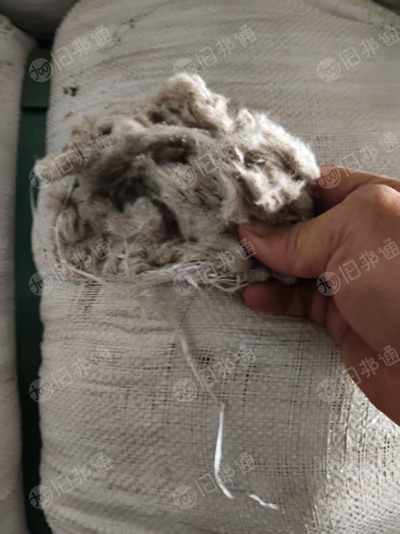 长期出售气流纺下来的纯棉鱼籽棉，纺纱下脚料，现货有8吨，货在山东滨州