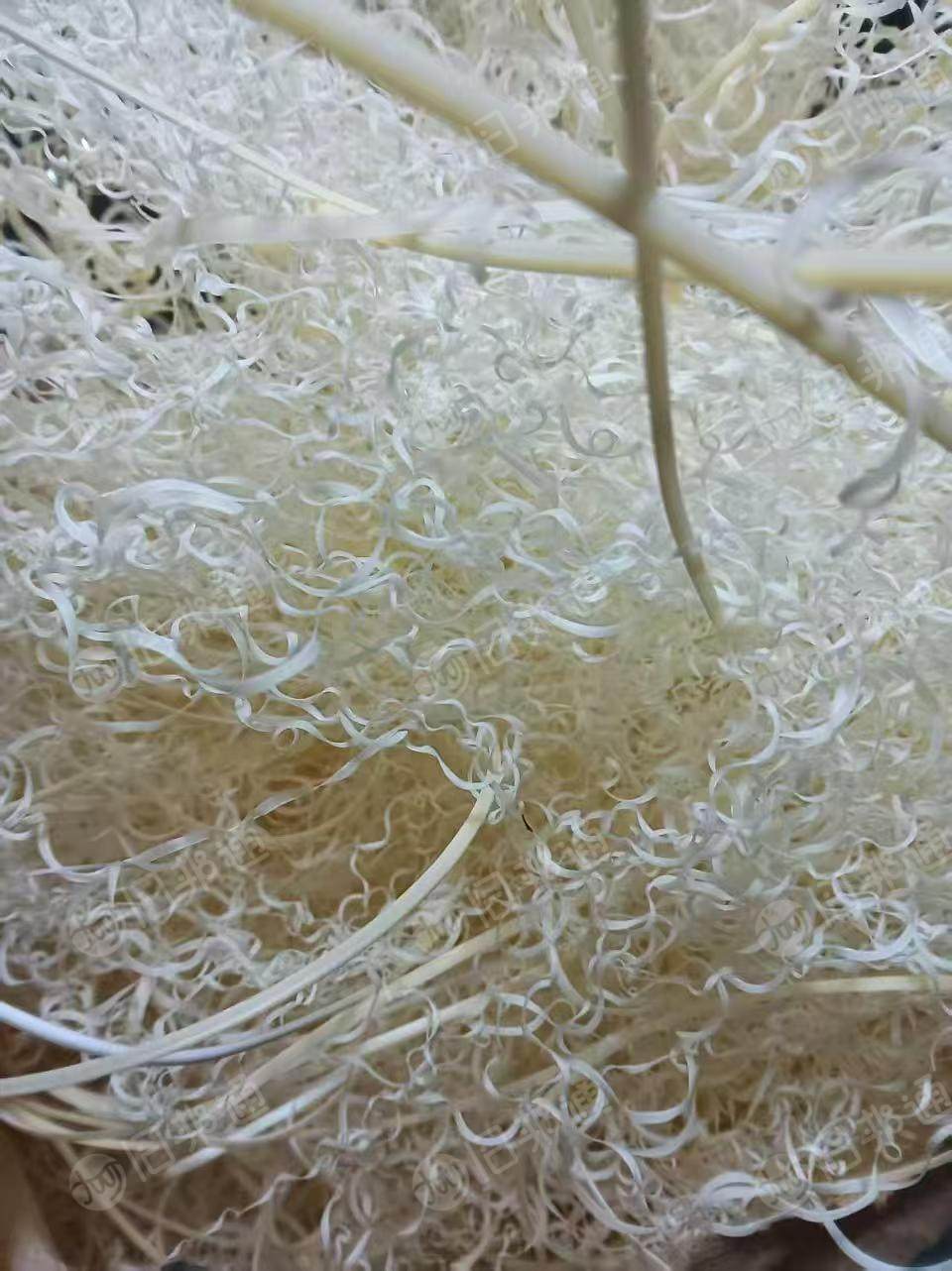 出售ABS 料，本色刨花和板材破碎料，干净无杂质，冲击16-17，长期有货，够车就走