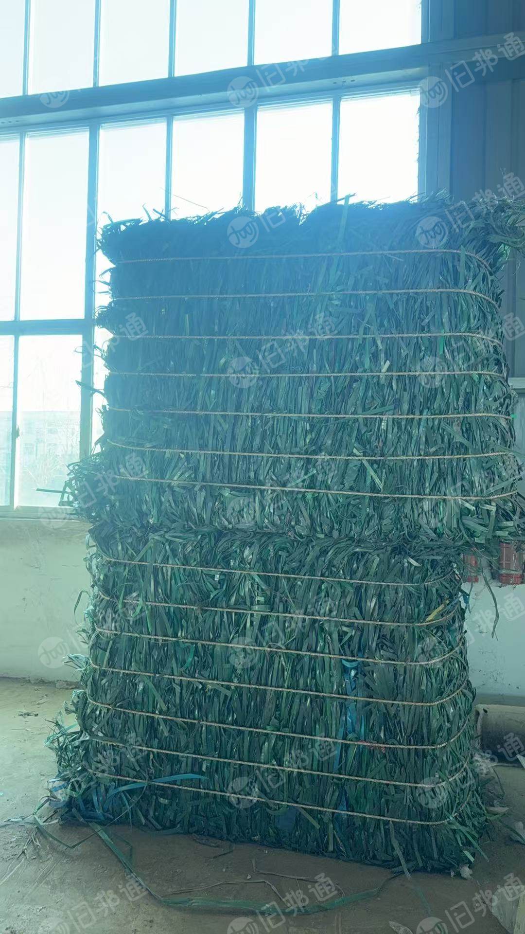 出售PET打包带废料，绿色打包带废料