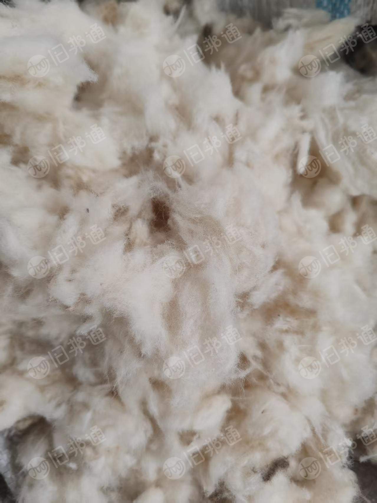 长期出售剪毛下来的纯羊毛下脚料，羊毛边角料，货在河北石家庄