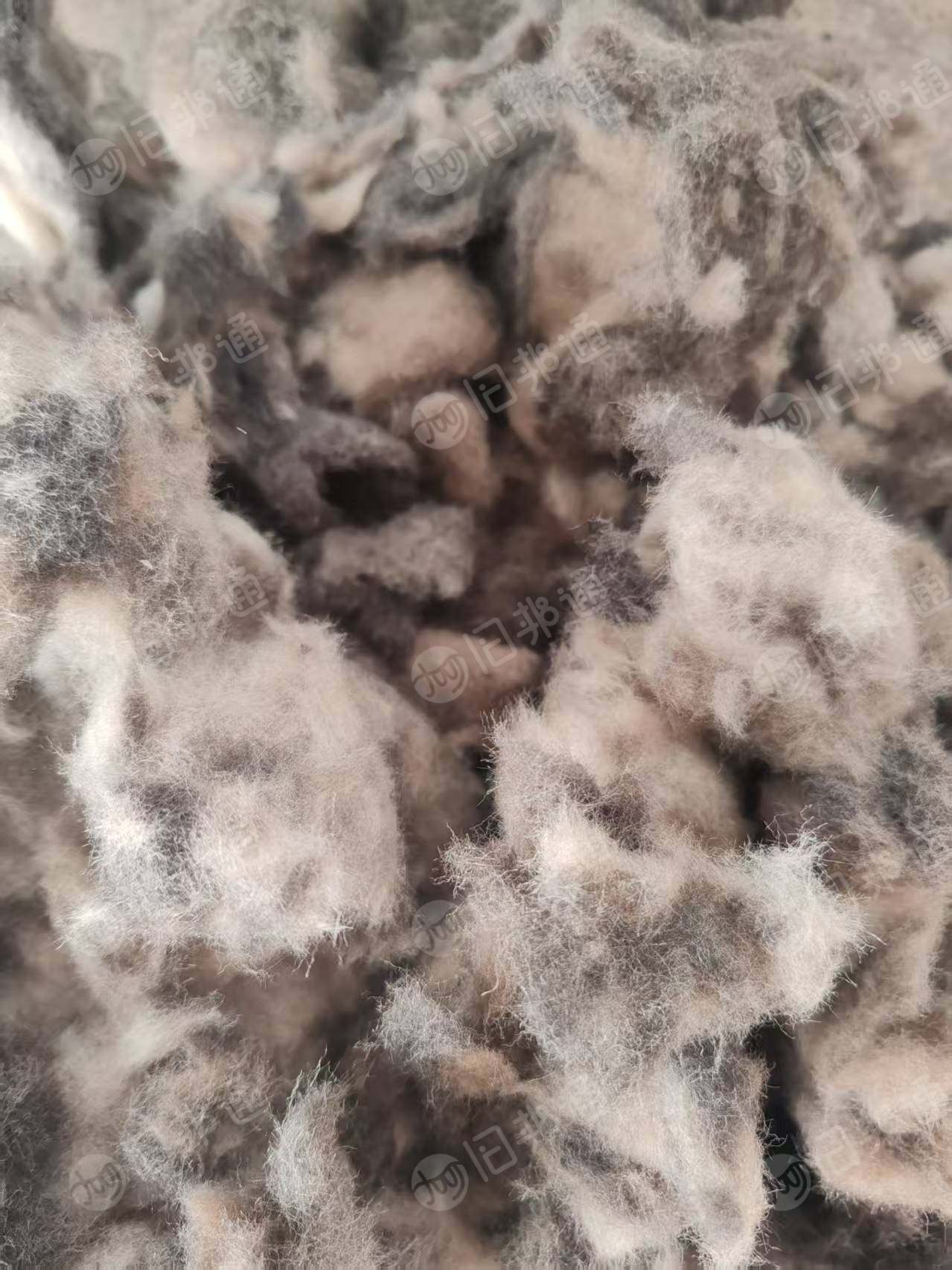 长期出售剪毛下来的纯羊毛下脚料，羊毛边角料，货在河北石家庄