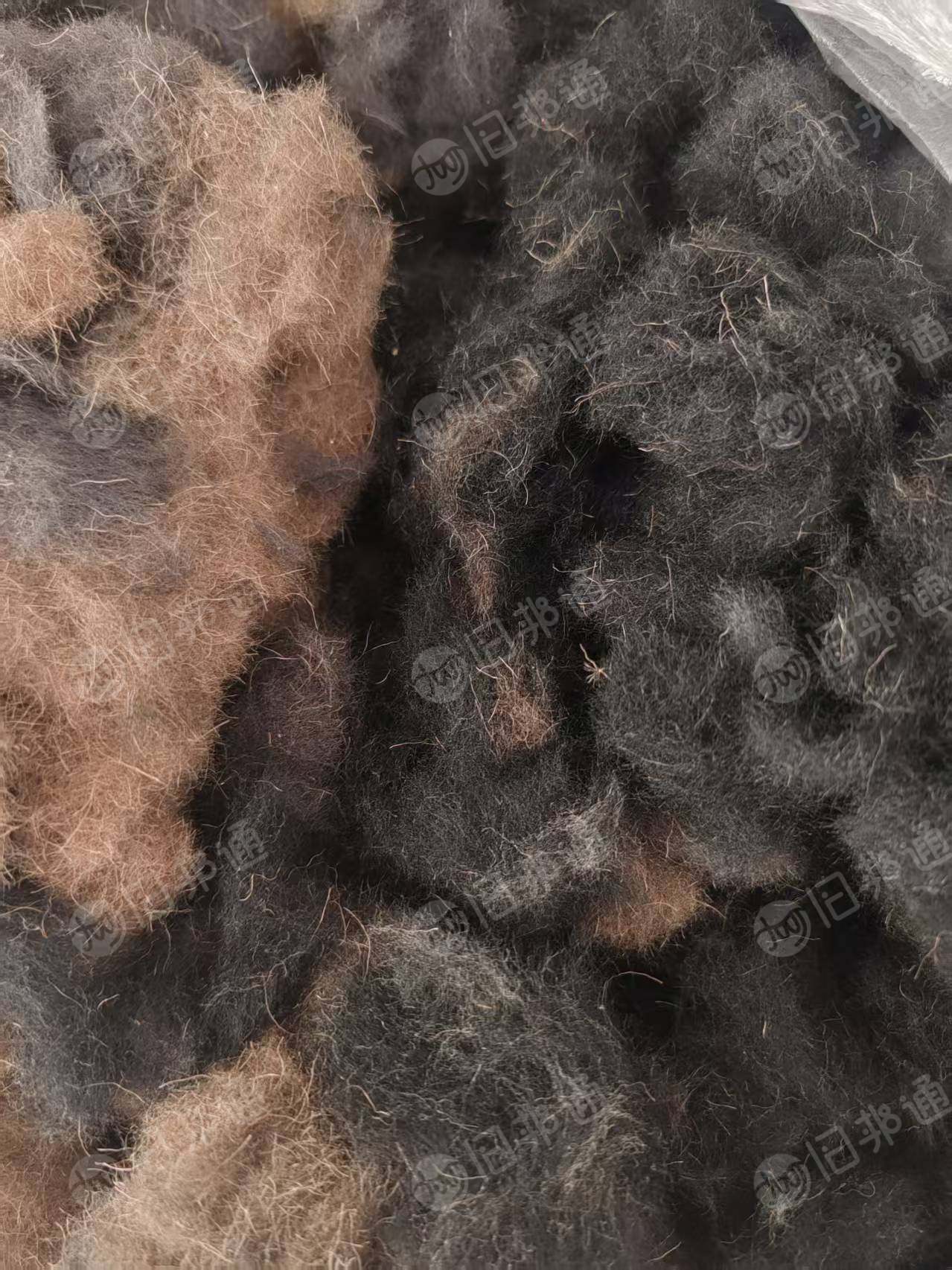 长期出售剪毛下来的纯羊毛下脚料，羊毛边角料，货在河北石家庄