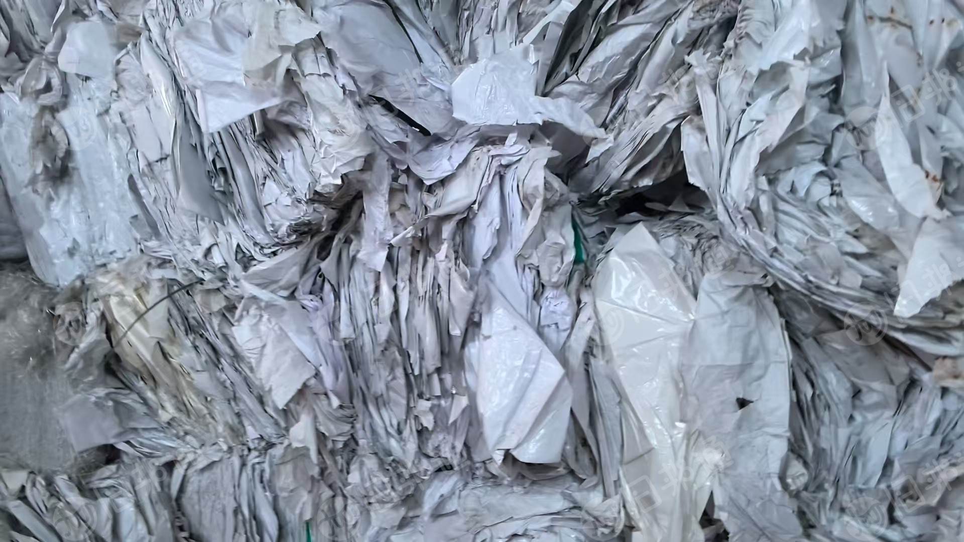 长期出售白色淋膜纸，本色淋膜纸