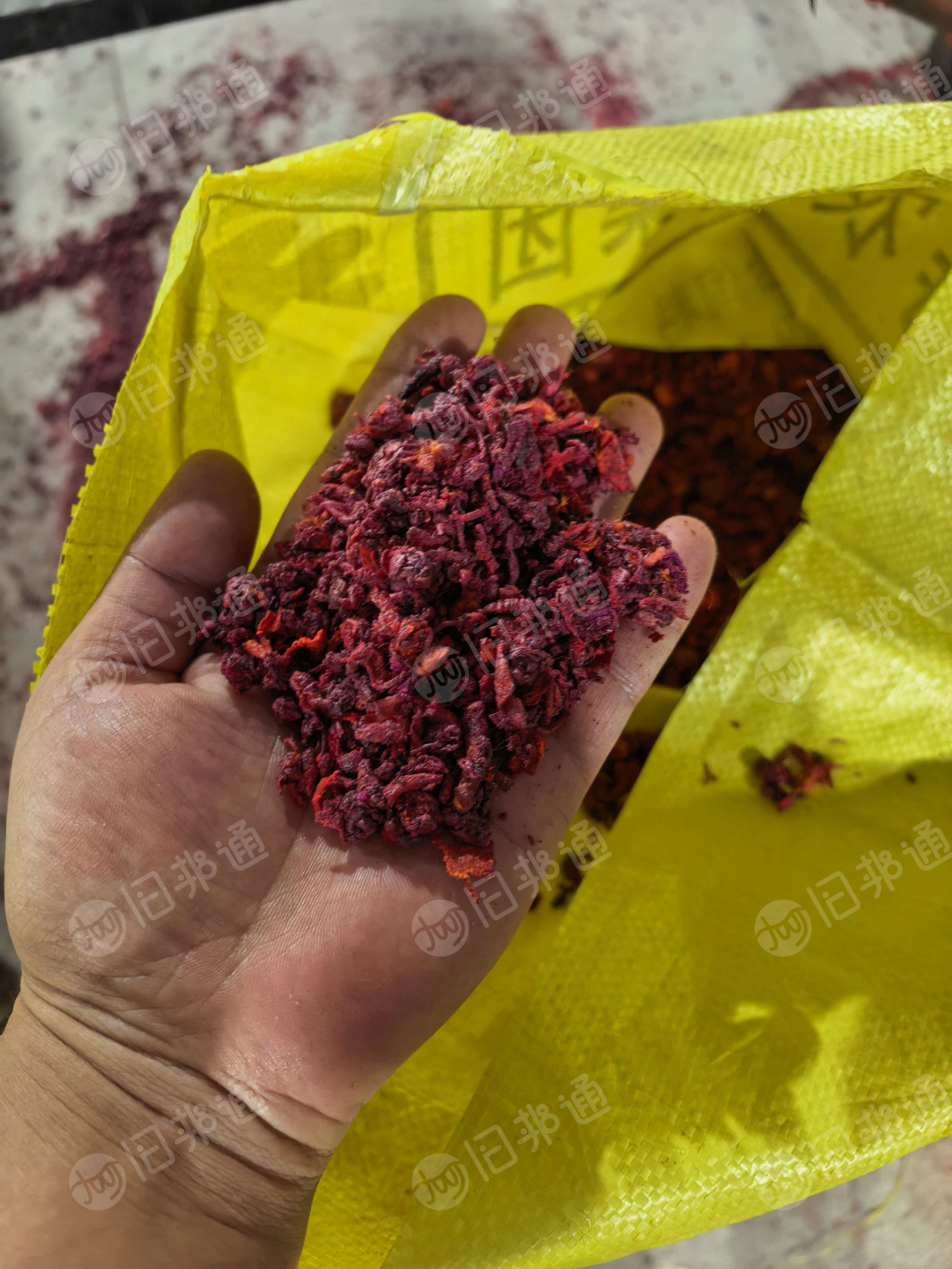 长期大量出售涤纶布泡，涤纶泡料，颜色泡，粉色咖色红色蓝色黑色，货在河北保定