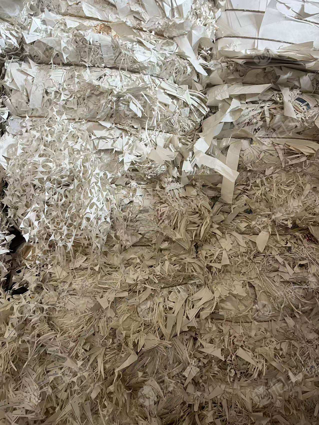 长期出售白色口杯纸边角料压块