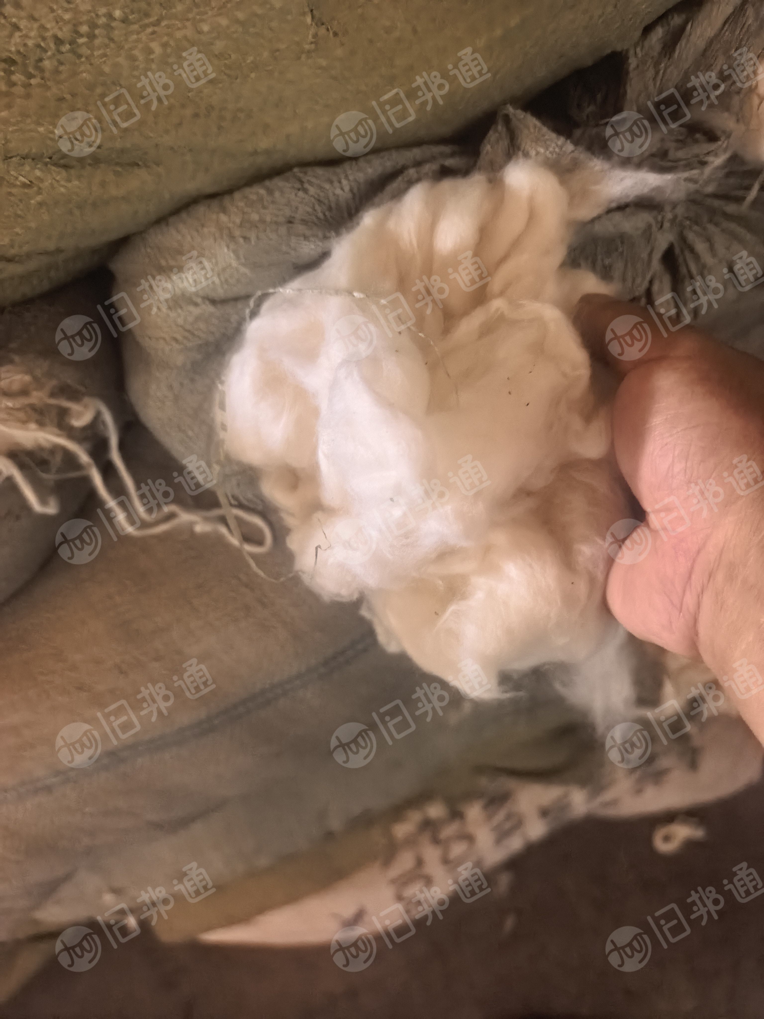 长期出售混纺开花料,有化纤的回花,纯棉回花,回丝等,含棉35左右,现货有5吨,货在河北沧州