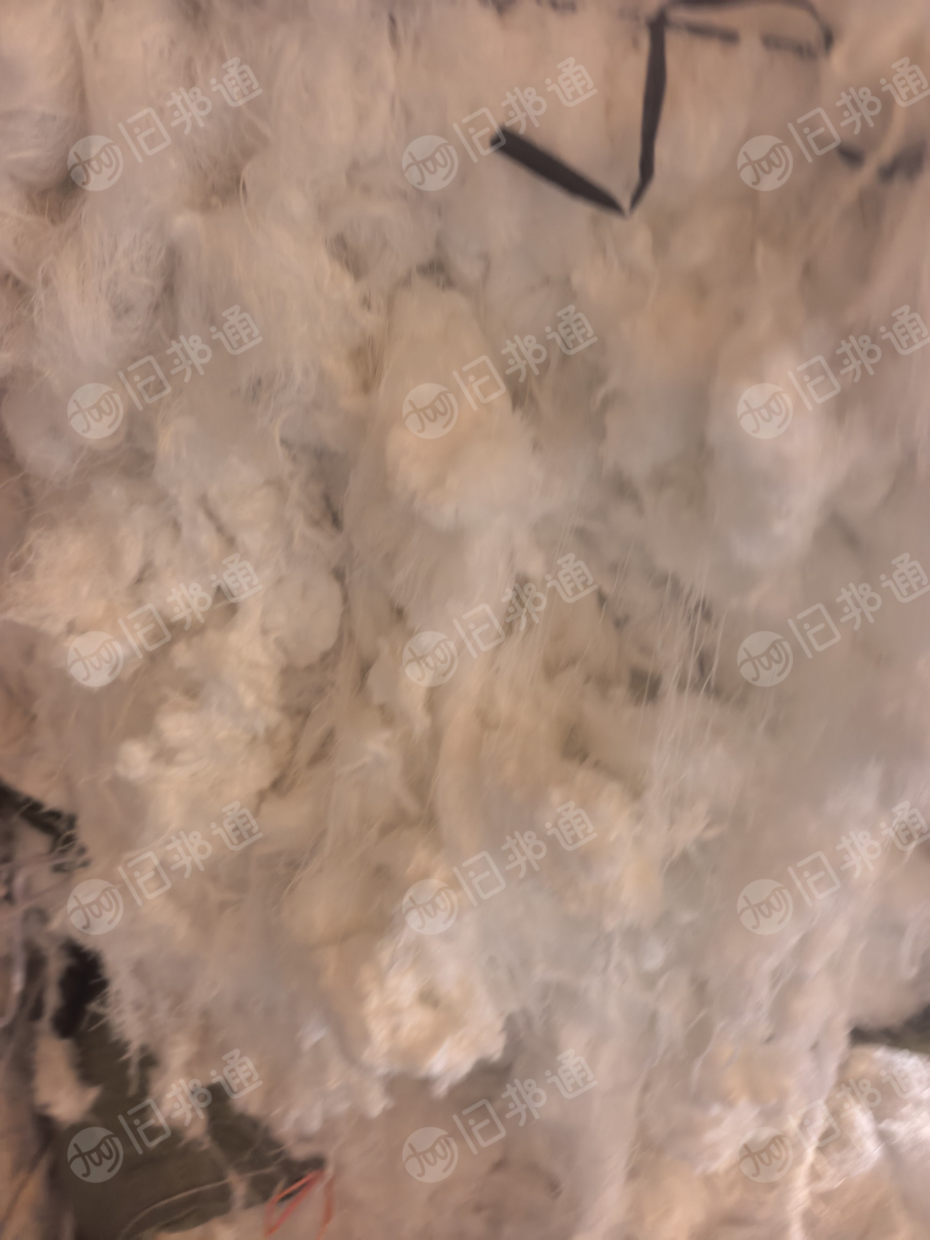 长期出售纺织厂下来的涤纶废丝，涤纶长丝，大化回丝，现货有40多吨，货在河北沧州
