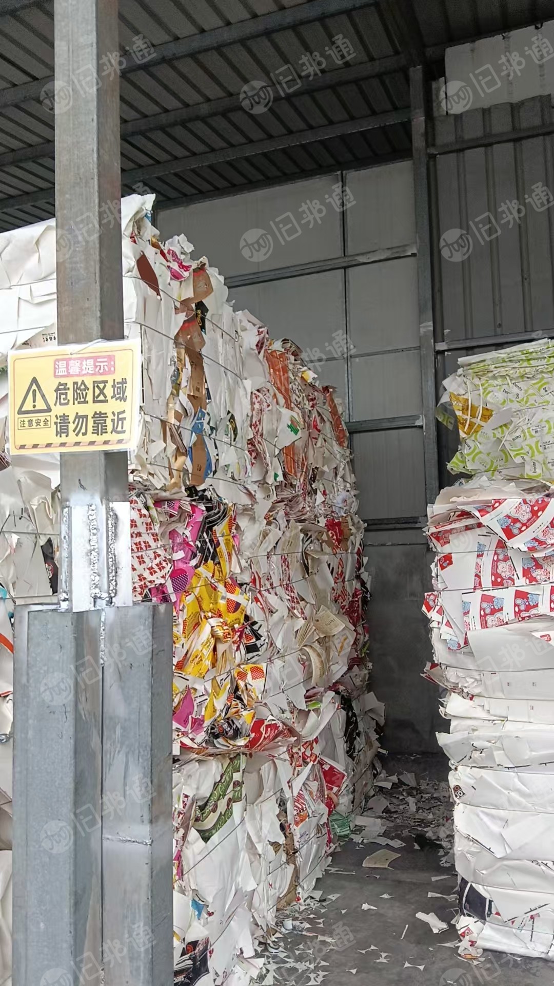 长期出售大花口杯纸压块