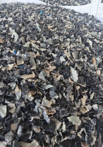 长期出售油箱破碎料，每月50吨左右
