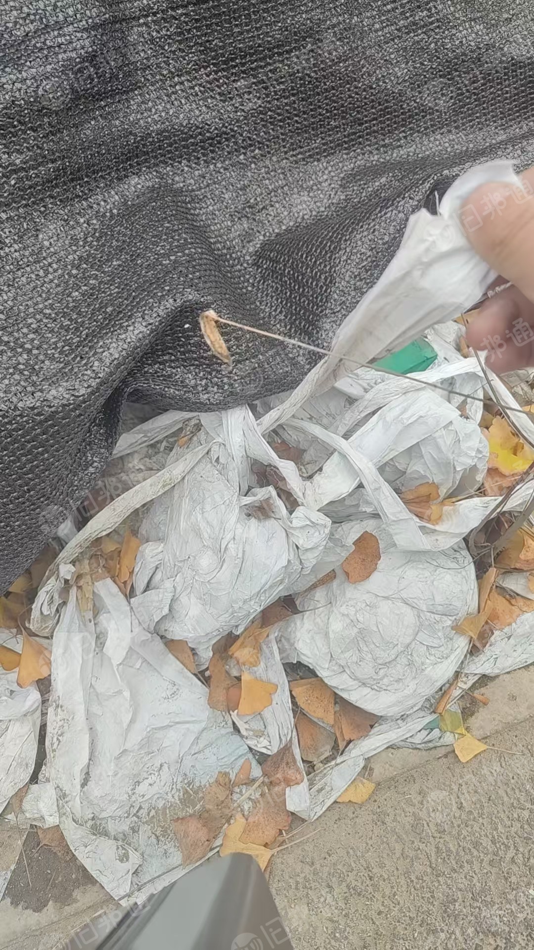 出售拆解的电池隔离膜废料，现货一挂车装不完