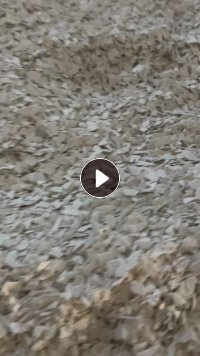 奶白PS吸塑片破碎料,月供几十吨,可拉片材