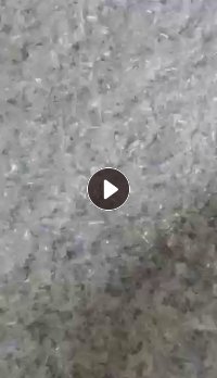 长期出售3a蓝白片，现货够车