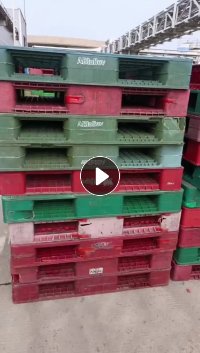 低压PE托盘破碎料，400多吨出售