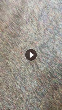 PVC杂线皮废料，各大料下来的筛漏料，月供500吨