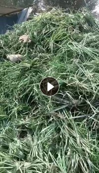 聚酯绿色打包带，没压包，现货6米8一车