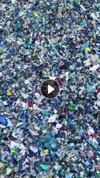 花丙下沉料出售，很干净，现货4车，广东肇庆自提