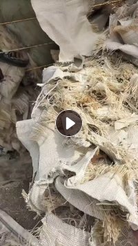 丙纶带涤纶线地毯料十几吨便宜出售