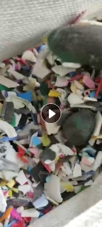 出售退漆pp破碎料，全漂日杂花丙，都有现货