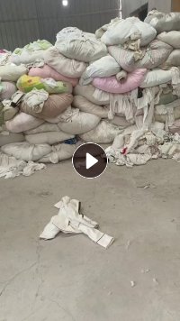 旧衣服大白二白