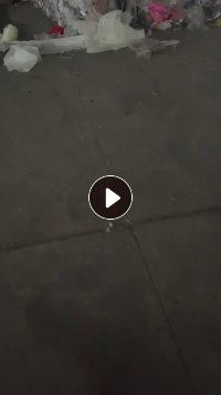 社会膜，杂膜，造粒用，现货20吨出售