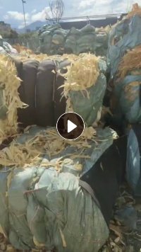 大量出售废汽车海绵边角料，现货三十吨