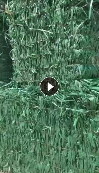 长期出售绿色打包带毛料