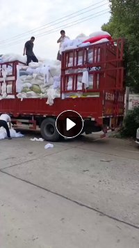 奶白色梭织化纤布开花原料长期出售