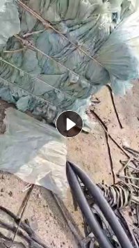 大棚膜毛料长期出售