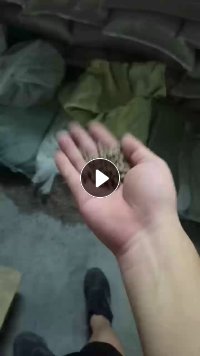 软质PVC颗粒，有黑色和卡其色颗粒，长期供应