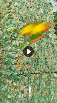 一挂车绿瓶砖出售