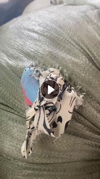 氨纶拉丝料长期供应，现货十几吨！