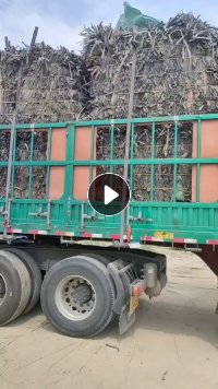 长期出售滴灌带毛料，现货60吨