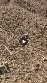 水洗破碎塑料铁，常年出售