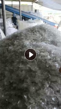pet吸塑片A级B级破碎料长期大量出售