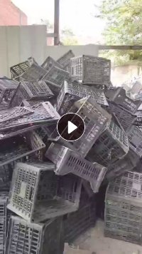 长期出售黑色pp水果筐破碎料