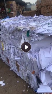 白色和本色淋膜纸长期出售