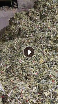 蛋托厂处理纸厂废塑料