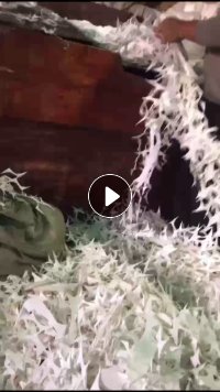 纯PP无纺布颗粒，60目，长期出售