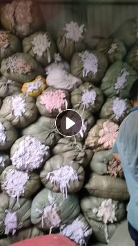 浅三色开花原料大量供应